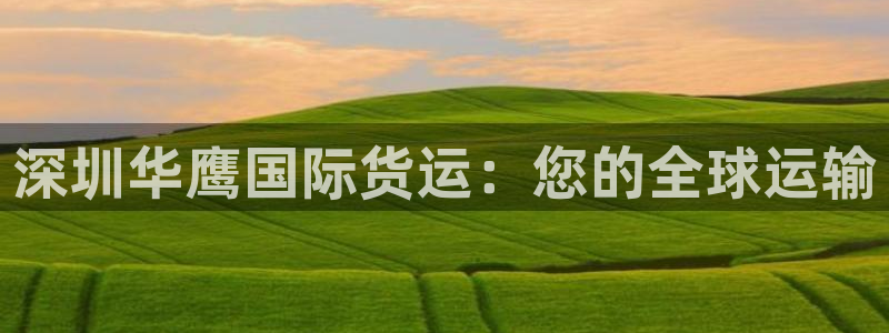 尊龙凯时官网版登录：深圳华鹰国际货运：您的全球运输