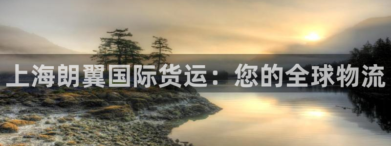 Z6尊龙凯时官方：上海朗翼国际货运：您的全球物流