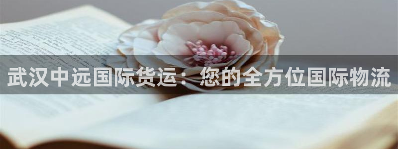 尊龙人生就是博ag旗舰厅：武汉中远国际货运：您的全方位国