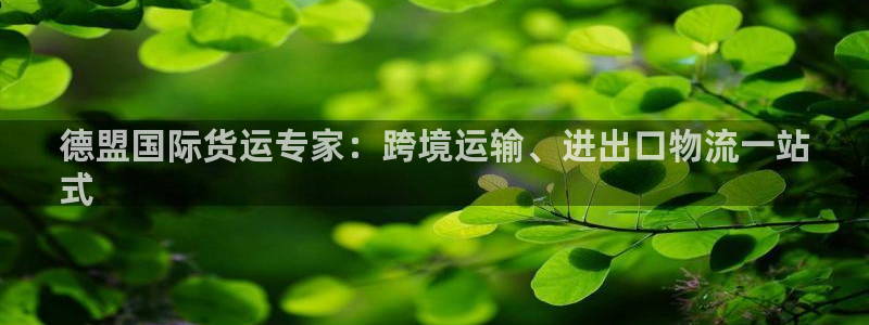 尊龙人生就是-首页(中国)有限公司：德盟国际货运专家：跨