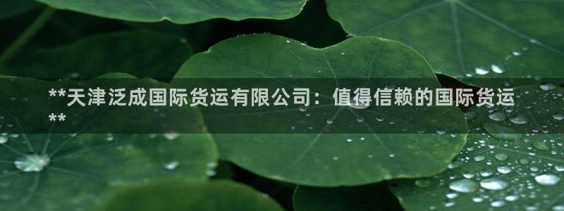 尊龙集团有限公司官网地址：**天津泛成国际货运有限公司：
