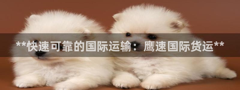 尊龙休闲e站怎么样：**快速可靠的国际运输：鹰速国际货运