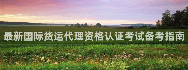 尊龙凯时品牌介绍：最新国际货运代理资格认证考试备考指南