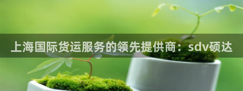 尊龙凯时始人生就是博：上海国际货运服务的领先提供商：sd