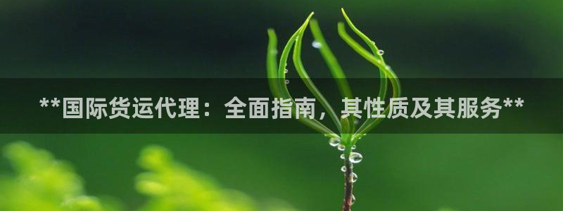 尊龙官网网页版：**国际货运代理：全面指南，其性质及其服