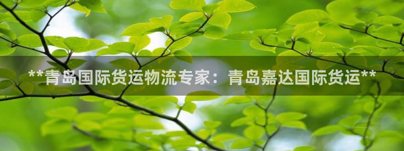 尊龙凯时人生就是博·(中国)官网首页：**青岛国际货运物