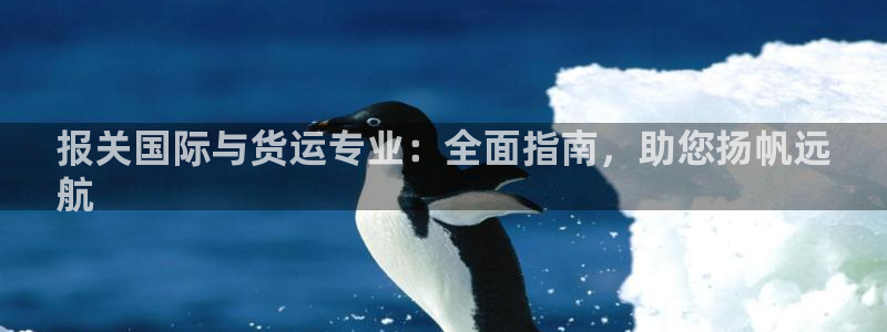 尊龙凯时公司官网：报关国际与货运专业：全面指南，助您扬帆