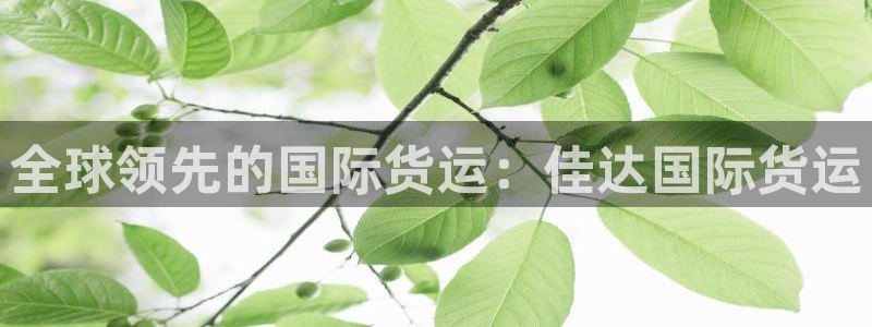 尊龙凯时发展历程：全球领先的国际货运：佳达国际货运