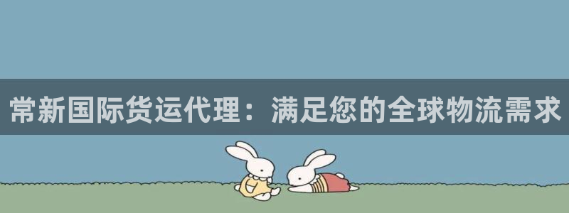 尊龙人生就是博AG：常新国际货运代理：满足您的全球物流需