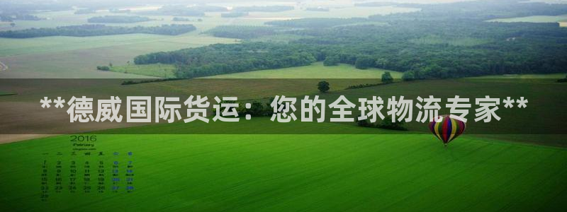 尊龙凯时代理能提出来不：**德威国际货运：您的全球物流专