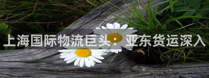 尊龙-人生就是博：上海国际物流巨头：亚东货运深入