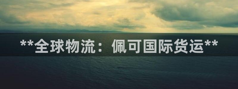 尊龙凯时有封银行卡的吗：**全球物流：佩可国际货运**