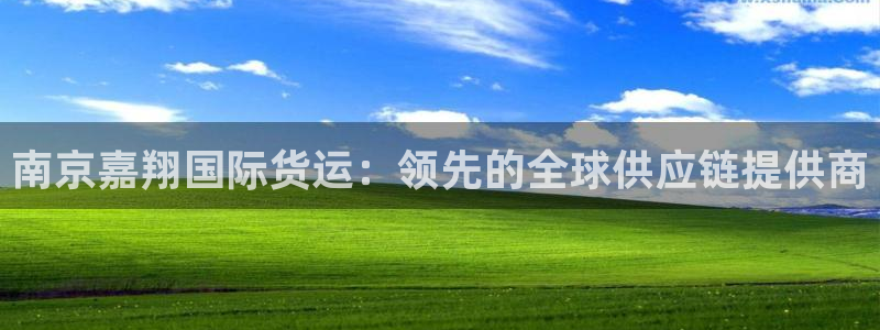 尊龙王t400：南京嘉翔国际货运：领先的全球供应链提供商