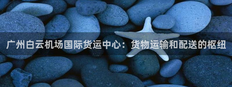 尊龙新版app首页：广州白云机场国际货运中心：货物运输和