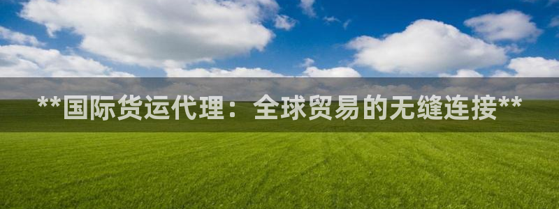 尊龙人生就是博旗舰厅：**国际货运代理：全球贸易的无缝连