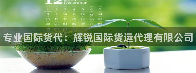 尊龙凯时官网首页：专业国际货代：辉锐国际货运代理有限公司