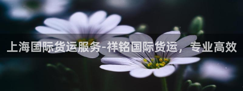 尊龙凯时一人生就是博官网：上海国际货运服务-祥铭国际货运