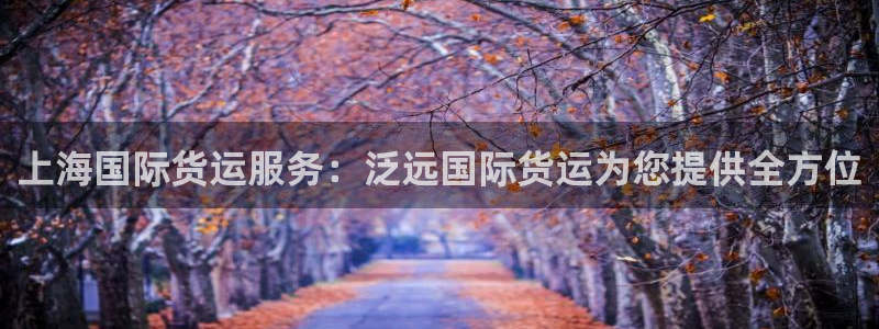 尊龙人生就是博l：上海国际货运服务：泛远国际货运为您提供