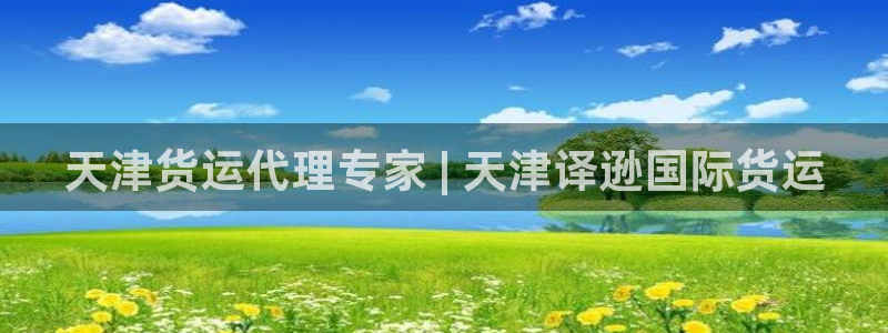 尊龙凯时几百万怎么下款：天津货运代理专家 | 天津译逊国