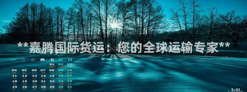 尊龙凯时手机版·(中国)官方网站：**嘉腾国际货运：您的