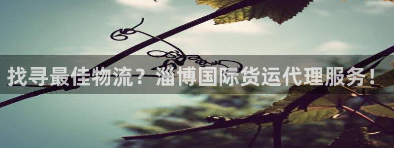 尊龙人生就是博用现金玩一下：找寻最佳物流？淄博国际货运代