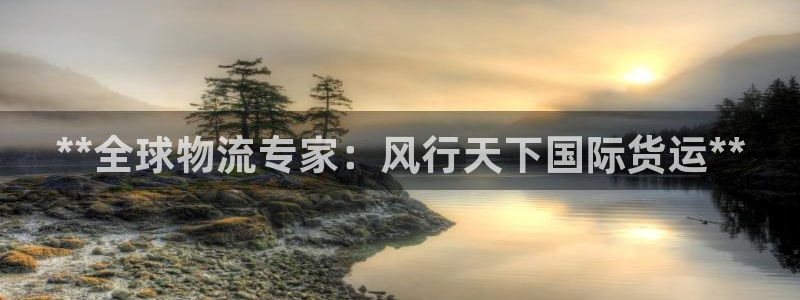 尊龙人生就是博中国区：**全球物流专家：风行天下国际货运
