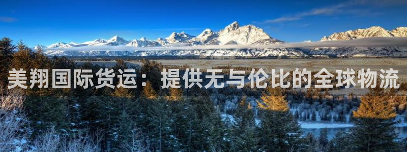 尊龙人生就是博旗舰厅：美翔国际货运：提供无与伦比的全球物