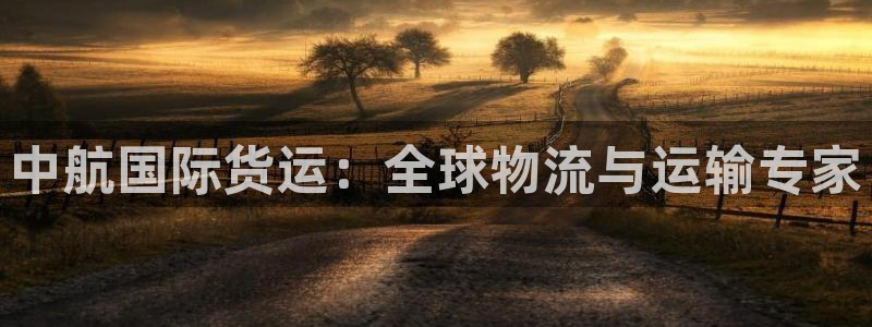 尊龙官方网站：中航国际货运：全球物流与运输专家