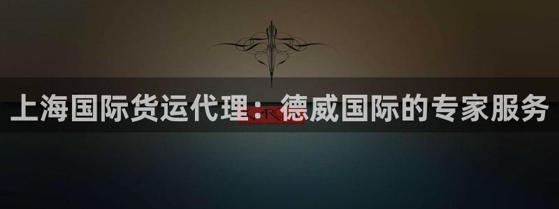 尊龙人生就是博旧版网址：上海国际货运代理：德威国际的专家