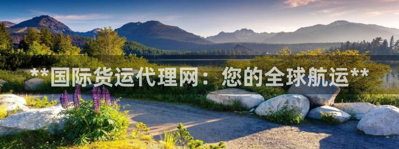 尊龙d88官网准认来就送38：**国际货运代理网：您的全