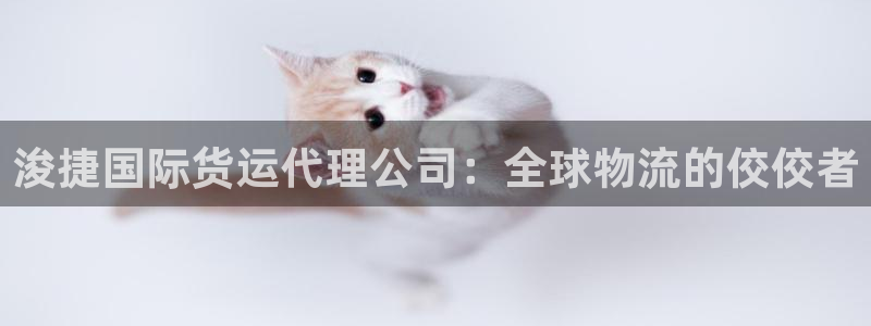 尊龙凯时官方下载：浚捷国际货运代理公司：全球物流的佼佼者