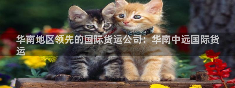 尊龙官方：华南地区领先的国际货运公司：华南中远国际货
运