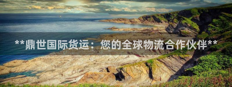 尊龙凯时 - 人生就是搏有假吗：**鼎世国际货运：您的全