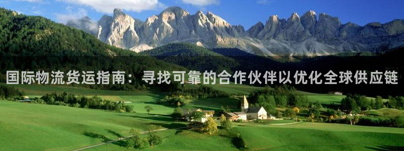 尊龙信息科技有限公司：国际物流货运指南：寻找可靠的合作伙