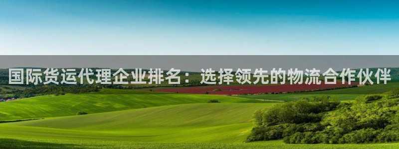 尊龙客服：国际货运代理企业排名：选择领先的物流合作伙伴