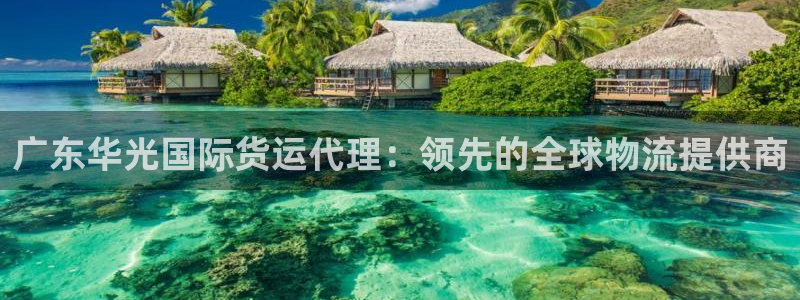 尊龙凯时网站是什么地方人开的：广东华光国际货运代理：领先