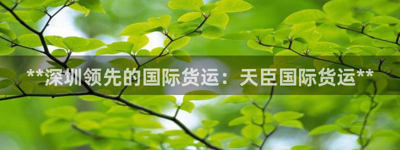 尊龙官方身高：**深圳领先的国际货运：天臣国际货运**