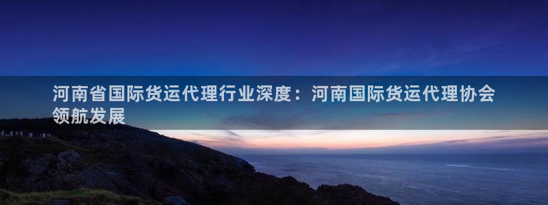 尊龙凯时登陆：河南省国际货运代理行业深度：河南国际货运代