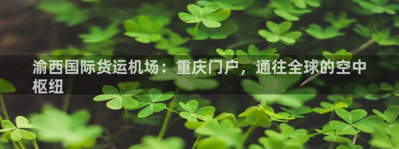 尊龙用现金一下可靠送38元：渝西国际货运机场：重庆门户，