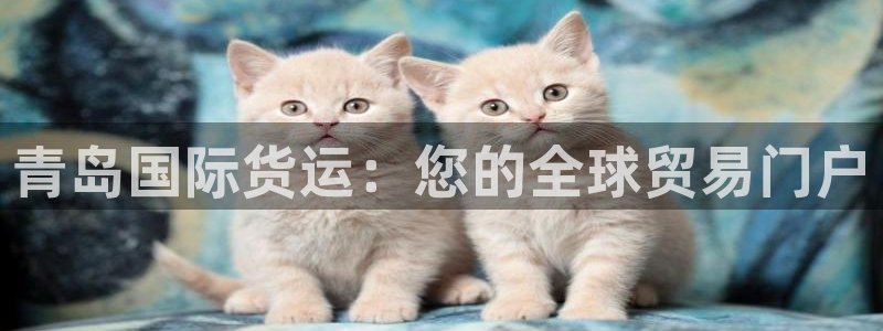 尊龙凯时平台入口：青岛国际货运：您的全球贸易门户