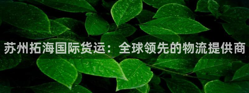 尊龙 ag：苏州拓海国际货运：全球领先的物流提供商