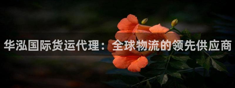尊龙凯时一人生就是博登入：华泓国际货运代理：全球物流的领