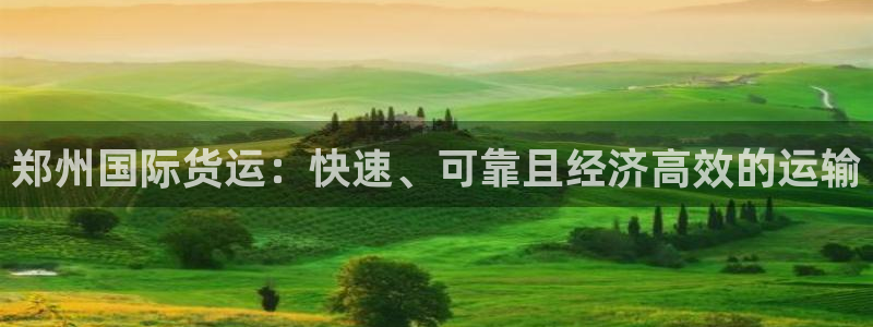 尊龙百度百科：郑州国际货运：快速、可靠且经济高效的运输