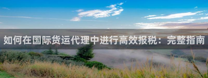 尊龙凯时app官方网站：如何在国际货运代理中进行高效报税