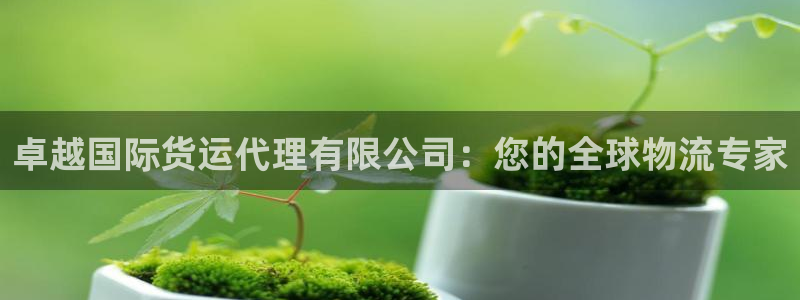 尊龙人生就是-首页(中国)有限公司：卓越国际货运代理有限