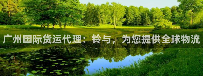 尊龙凯时可以提现吗：广州国际货运代理：铃与，为您提供全球