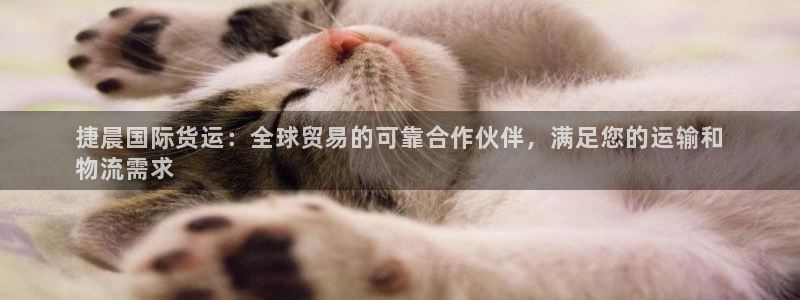 z6尊龙凯时旗舰厅首页：捷晨国际货运：全球贸易的可靠合作