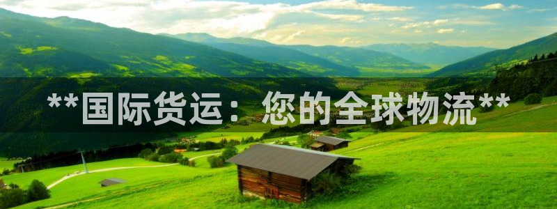 尊龙500价格：**国际货运：您的全球物流**
