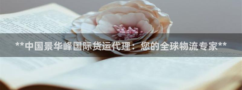 尊龙集团有限公司官网：**中国景华峰国际货运代理：您的全