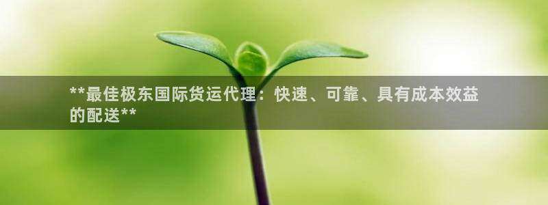 尊龙2016：**最佳极东国际货运代理：快速、可靠、具有